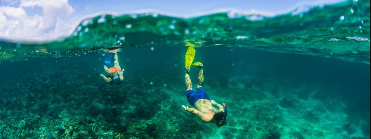 Snorkeling at Kisite Marine Park