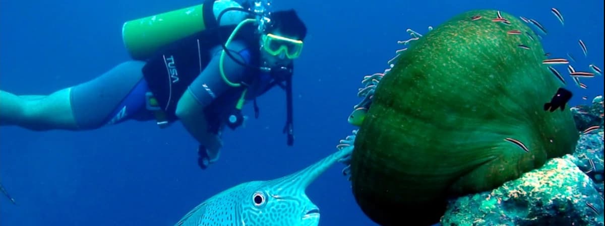 Scuba Diving