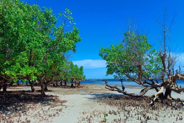 Private Island Visits