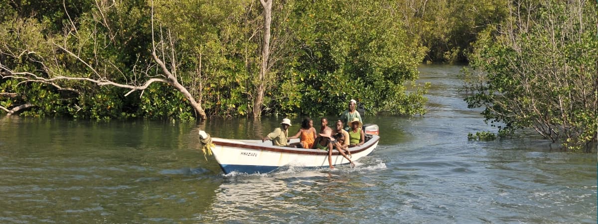 Ramisi River and Funzi Island