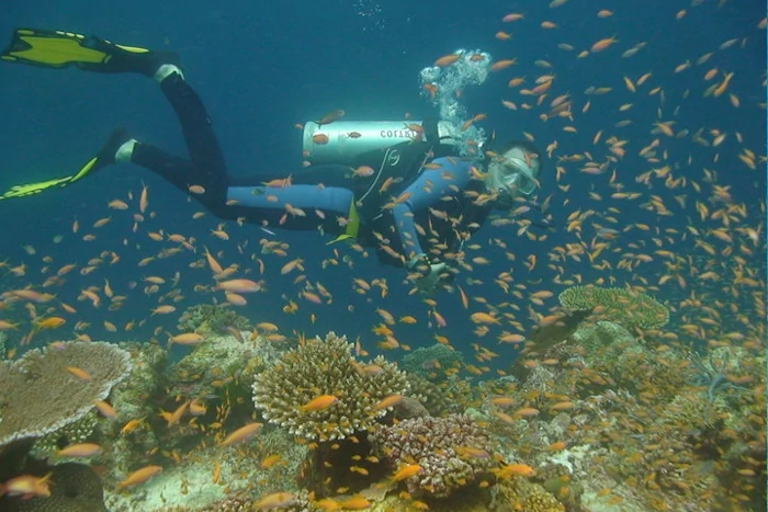 Scuba Diving - Image 2