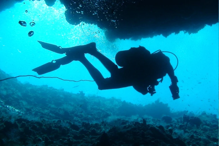Scuba Diving - Image 6
