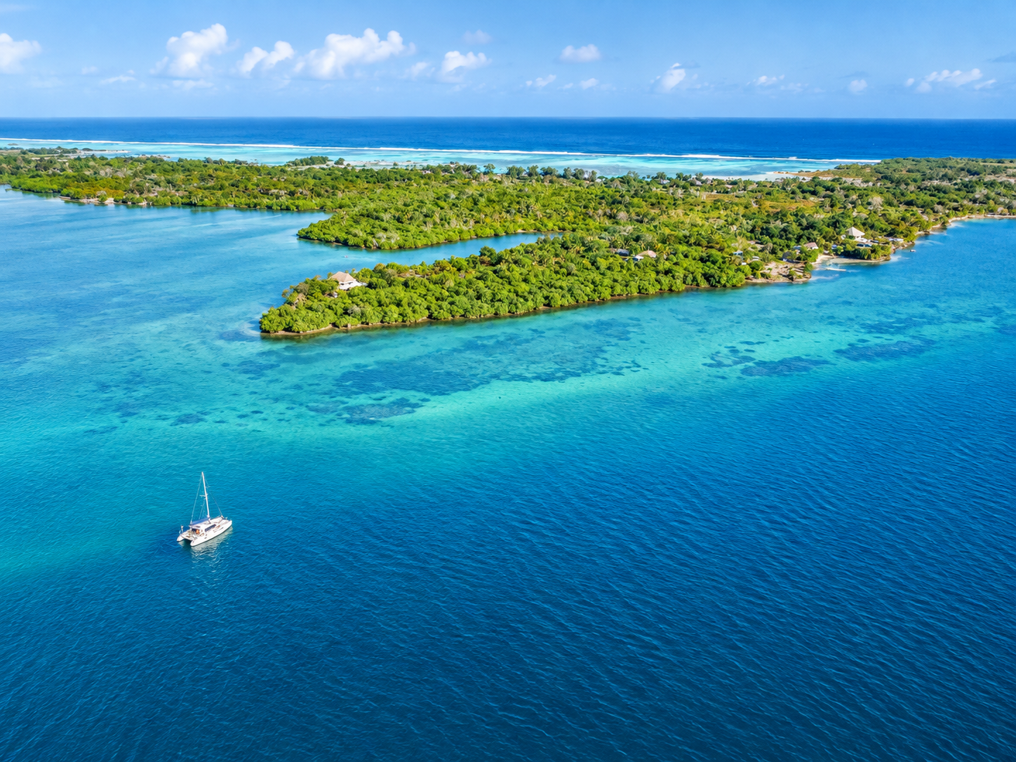 Private sailing on Kenya's wild south coast - Image 8
